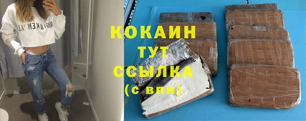 сатива Каменск-Шахтинский