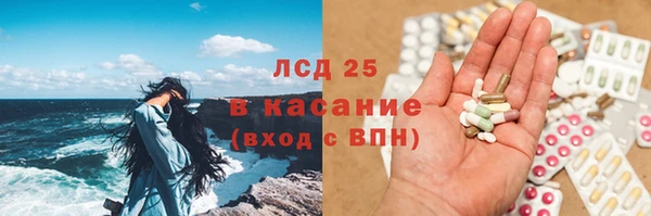 ПСИЛОЦИБИНОВЫЕ ГРИБЫ Каменка