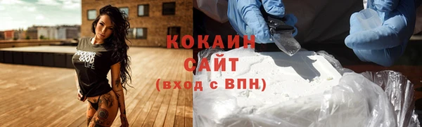 сатива Каменск-Шахтинский