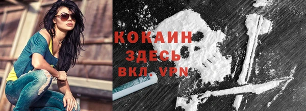 соль ск Каменногорск