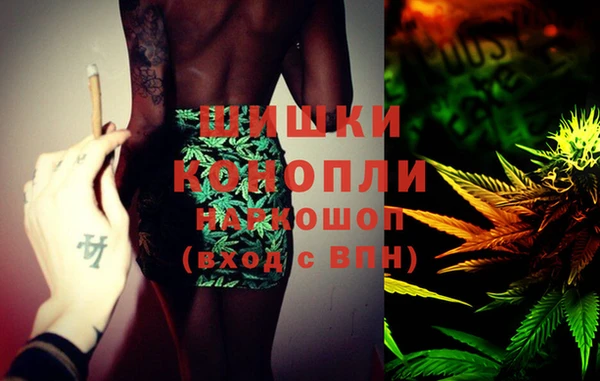 ПСИЛОЦИБИНОВЫЕ ГРИБЫ Каменка