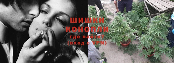 сатива Каменск-Шахтинский