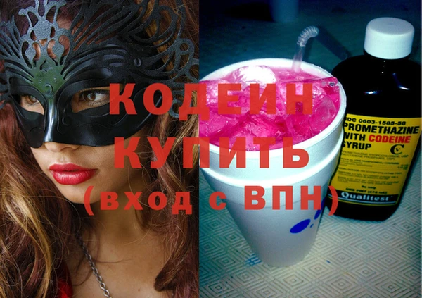 дурь Инсар