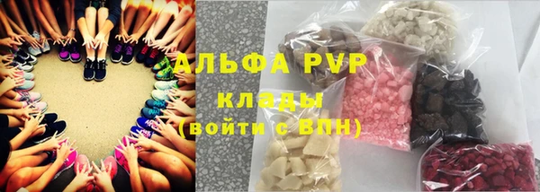 крисы Инта