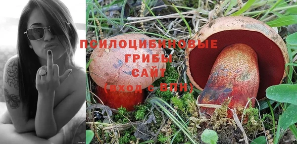 ПСИЛОЦИБИНОВЫЕ ГРИБЫ Каменка