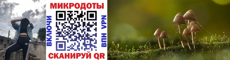 Псилоцибиновые грибы мицелий  Купить  Вельск 